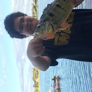 Meet your Posher, Daniel